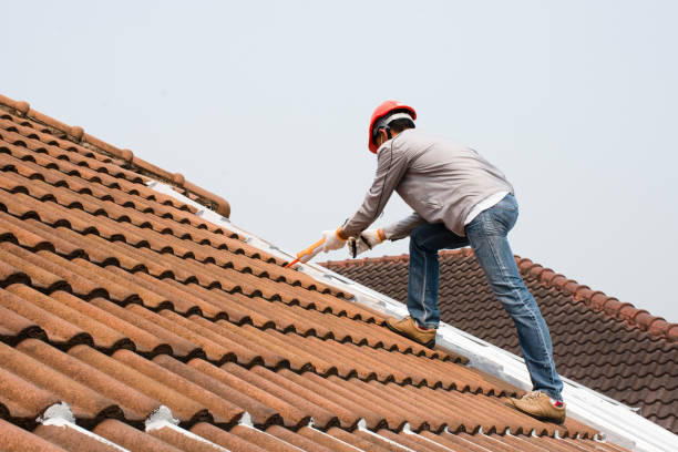 Best Skylight Installation and Repair  in , ME